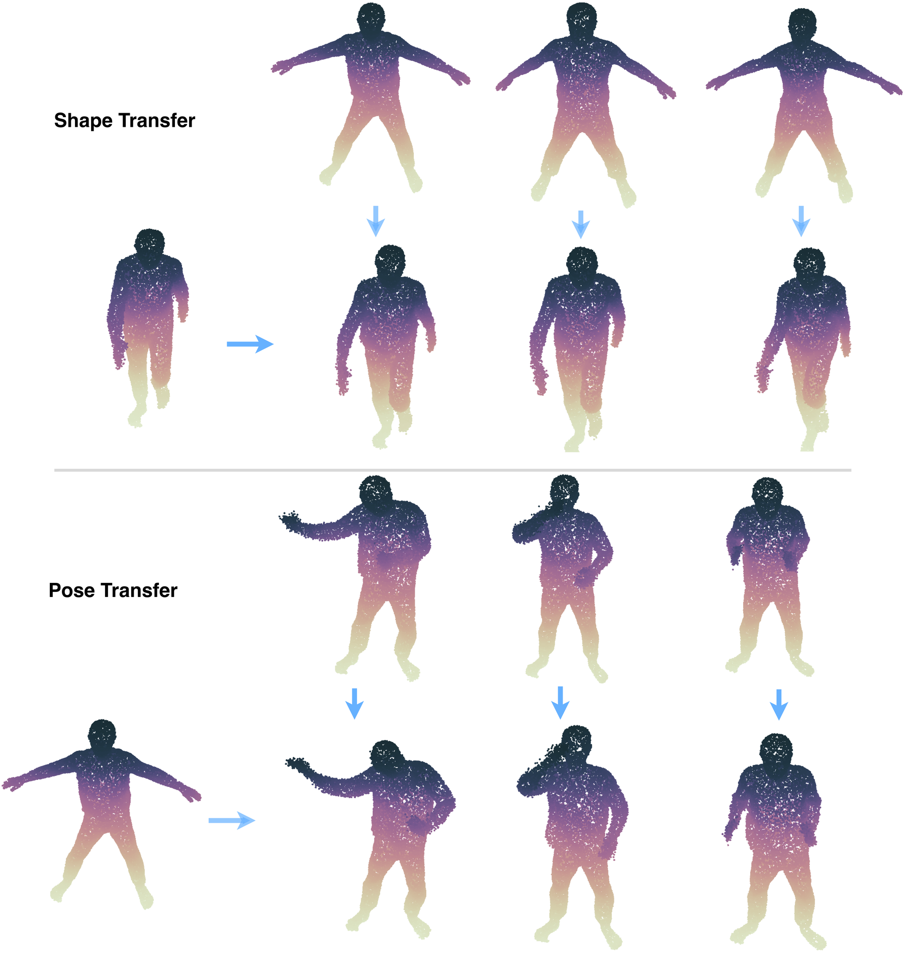 Shape and pose transfer in GNPM's disentangled latent space